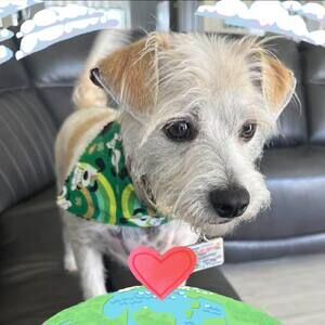 Meet your Posher, Tennille